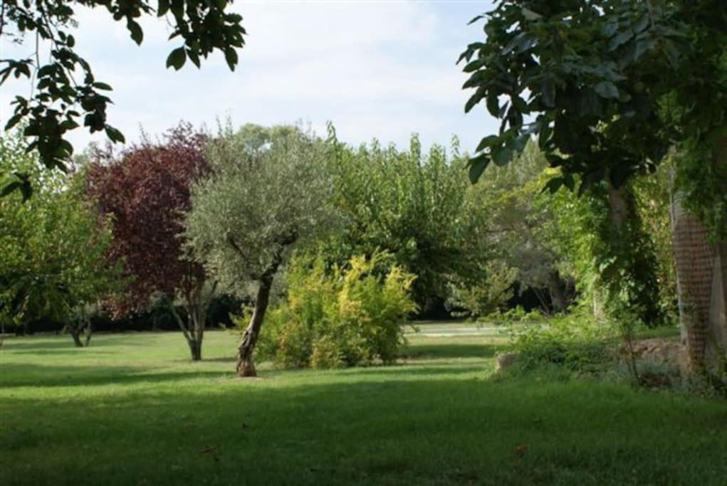 Gite De Charme 80 M², Piscine, Proche D'Uzes. Vezenobres Extérieur photo
