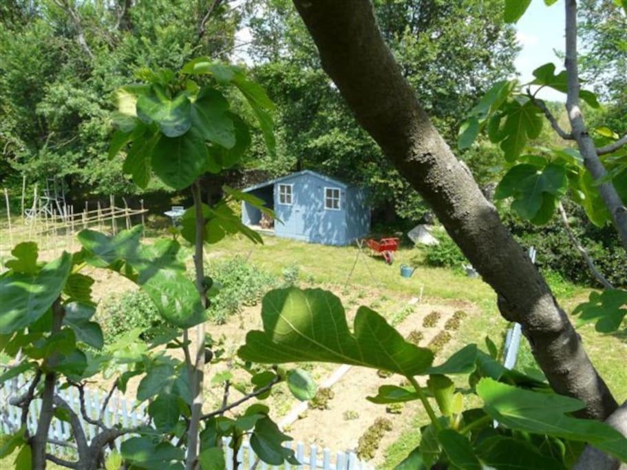 Gite De Charme 80 M², Piscine, Proche D'Uzes. Vezenobres Extérieur photo